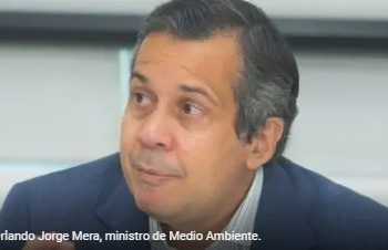 Medio Ambiente somete hombre por tala árboles