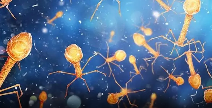 Los billones de virus que viven en tu cuerpo y ayudan a mantenerte vivo