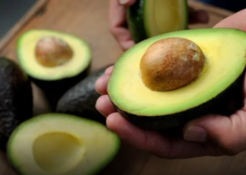 El aguacate criollo ya cuenta con su marca propia para comercializarse en EEUU