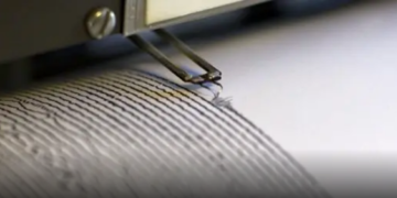 Sismo de 8,1 grados se registra cerca de Nueva Zelanda; emiten alerta de tsunami