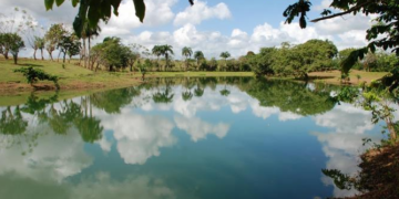 Industriales señalan Ley favorecerá gestión integral de residuos sólidos