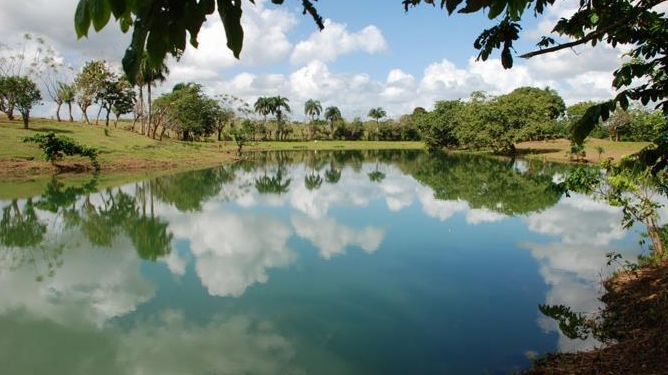 Industriales señalan Ley favorecerá gestión integral de residuos sólidos