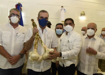 Garantizan abastecimiento de ajo en el país durante los próximos dos años