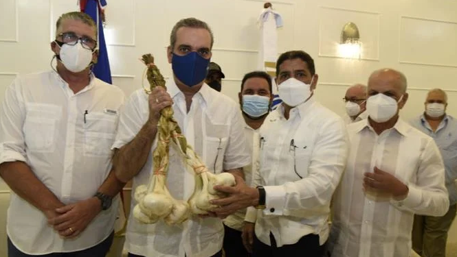 Garantizan abastecimiento de ajo en el país durante los próximos dos años