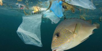 Residuos que llegan al mar.