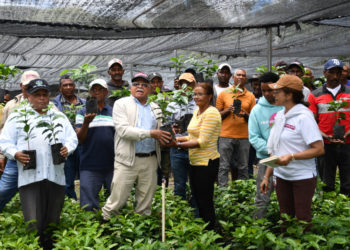 Distribuyen dos millones de plantas de café en zonas productivas